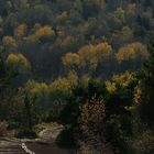 Descente du Puy de la vache