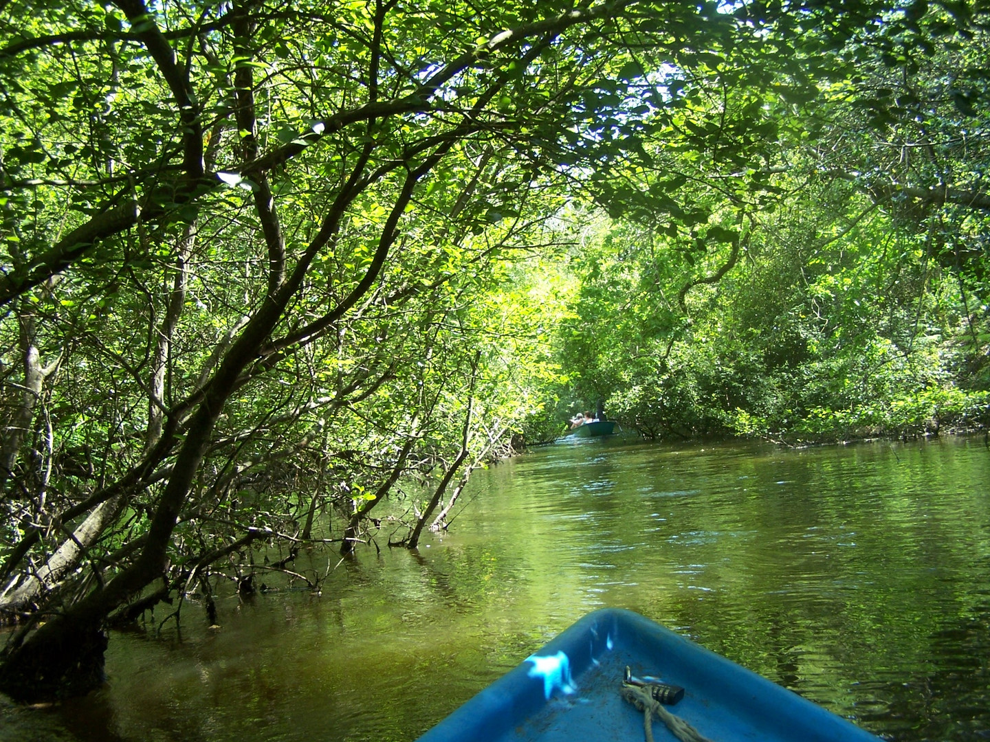 Descente en barque du Courant d'Huchet dans le département des Landes.