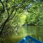 Descente en barque du Courant d'Huchet dans le département des Landes.