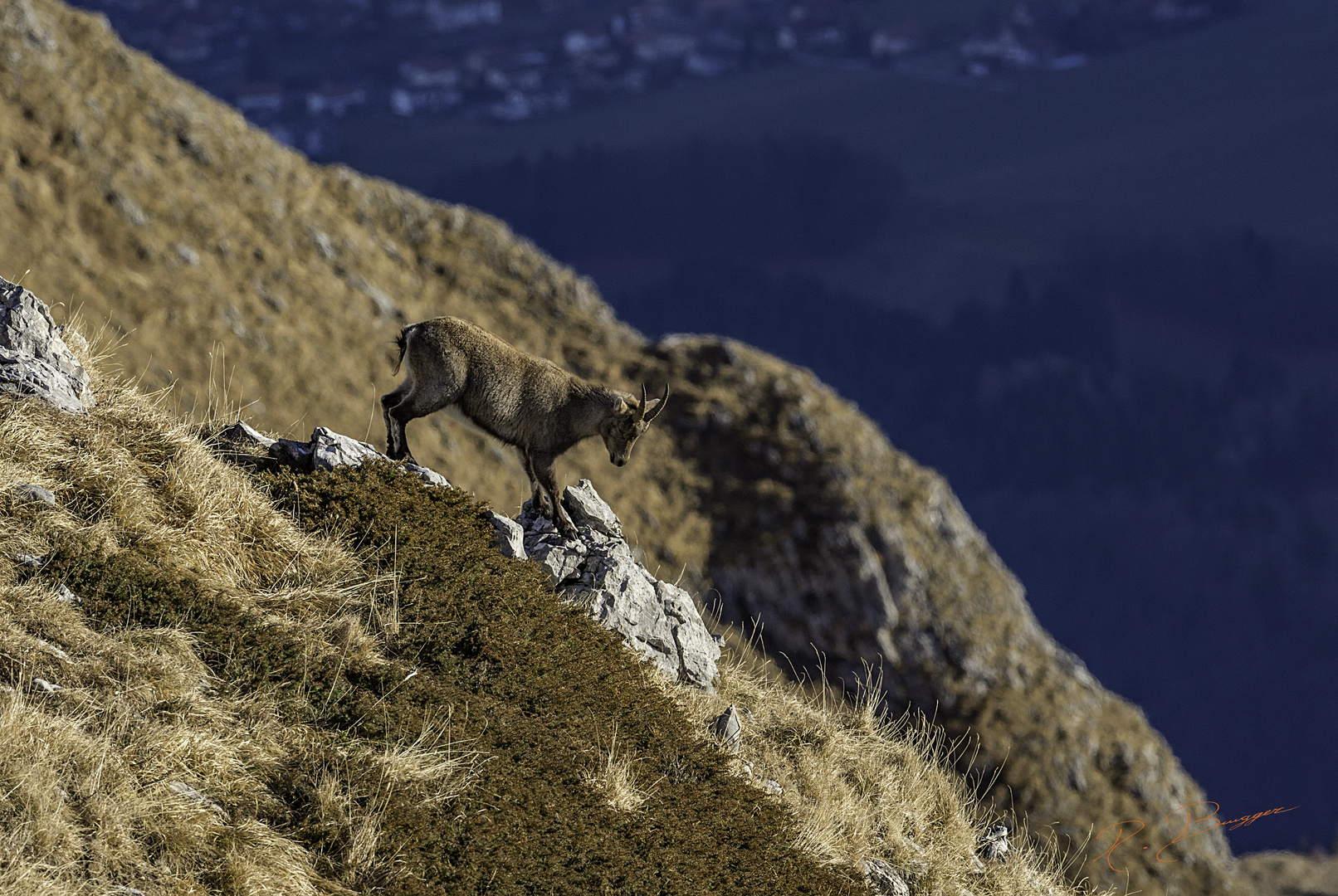 descente risquée