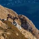 descente risquée