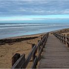 Descente vers la plage de Messanges en Janvier