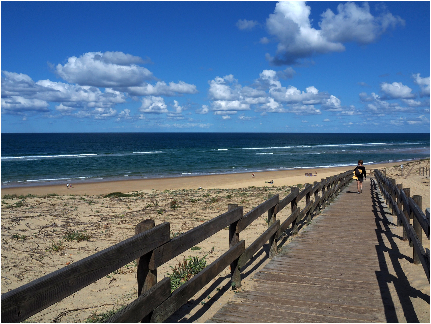 Descente vers la plage de Messanges  (Landes)