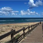 Descente vers la plage de Messanges  (Landes)