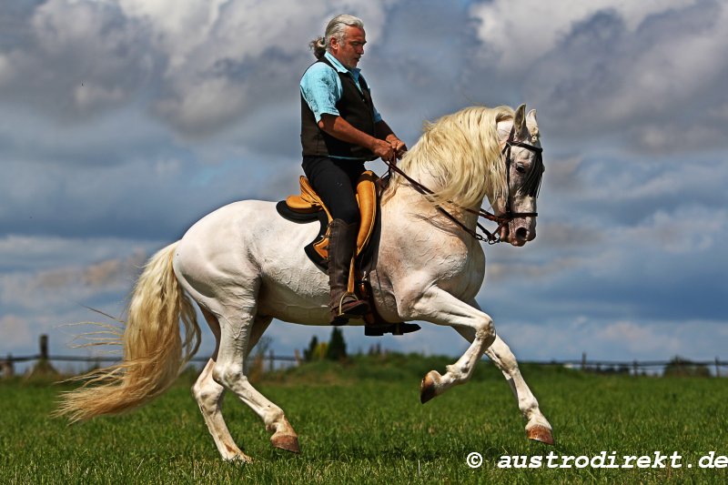 Deschenhof-Feria - beim Morgentraining