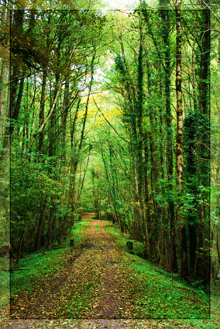 descubre la naturaleza