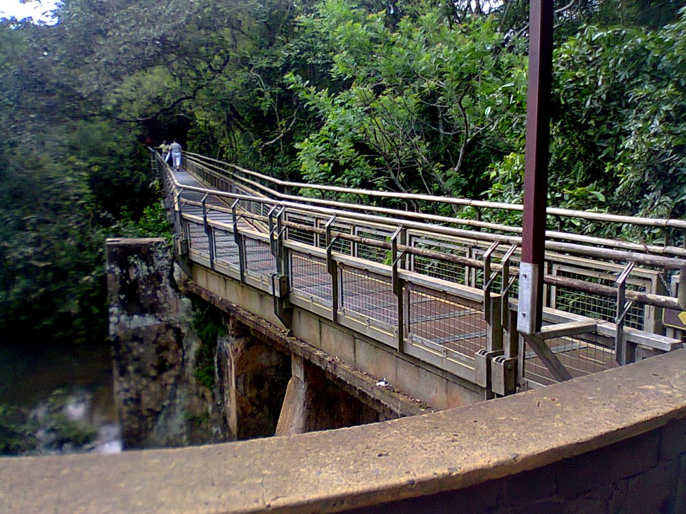 descubriendo las Cataratas, otra maravilla ...