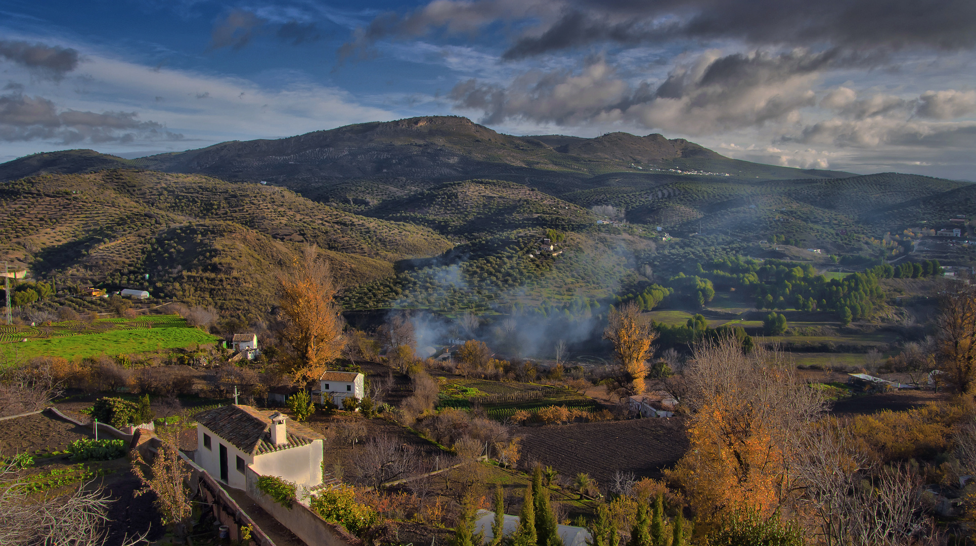 DESDE EL ADARVE (Una mirada serena)