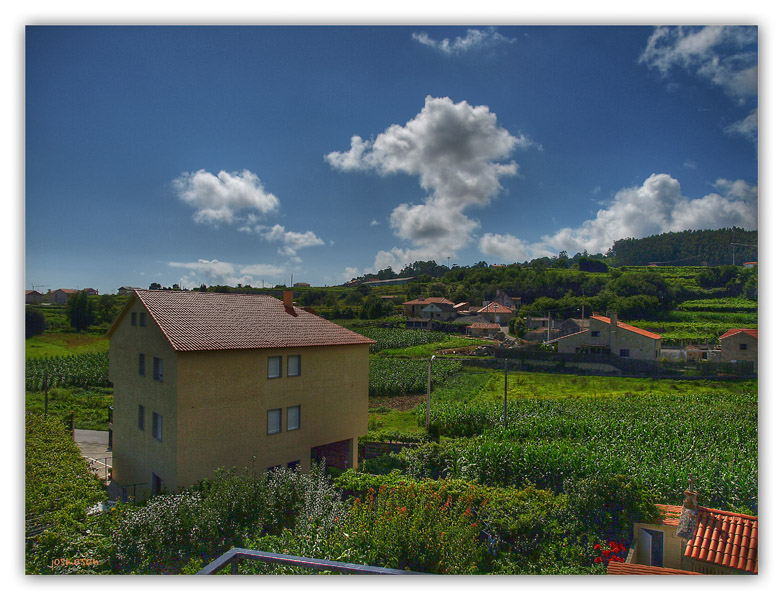 desde el balcón viñas y maizales (HDR)