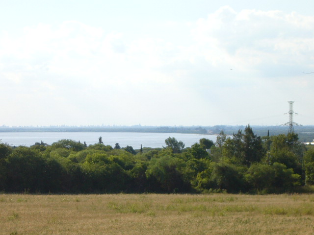 ~ Desde el campo a paranà