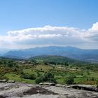 desde el cancho  ( sin ret