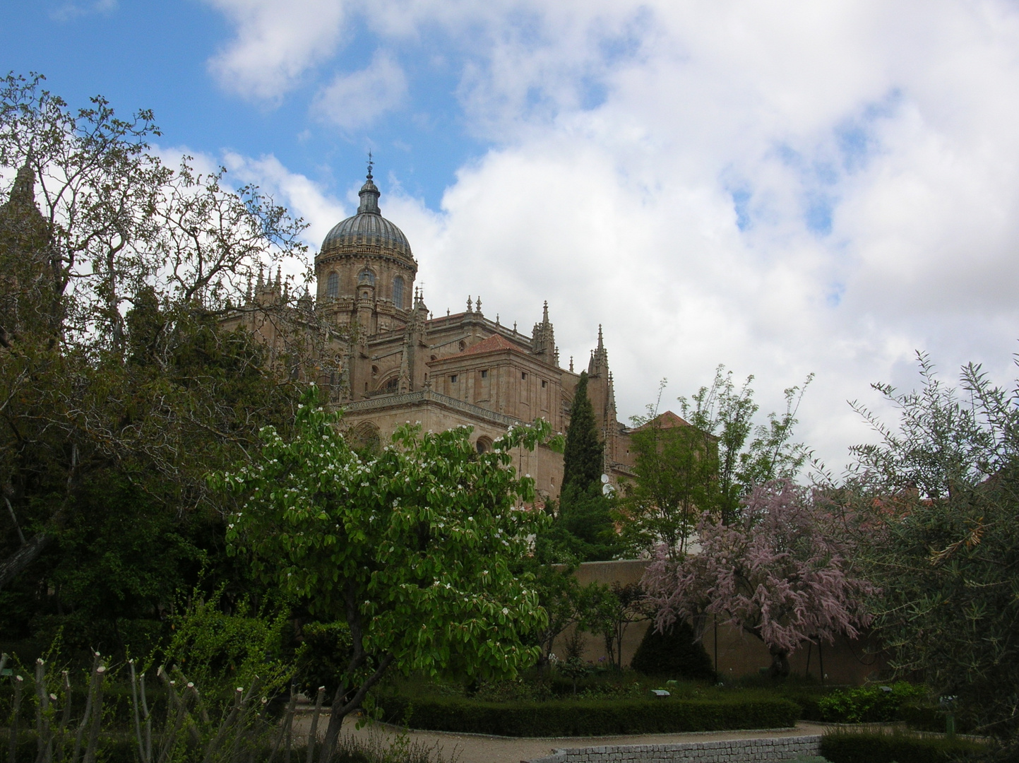 desde el huerto de calixto y melibea