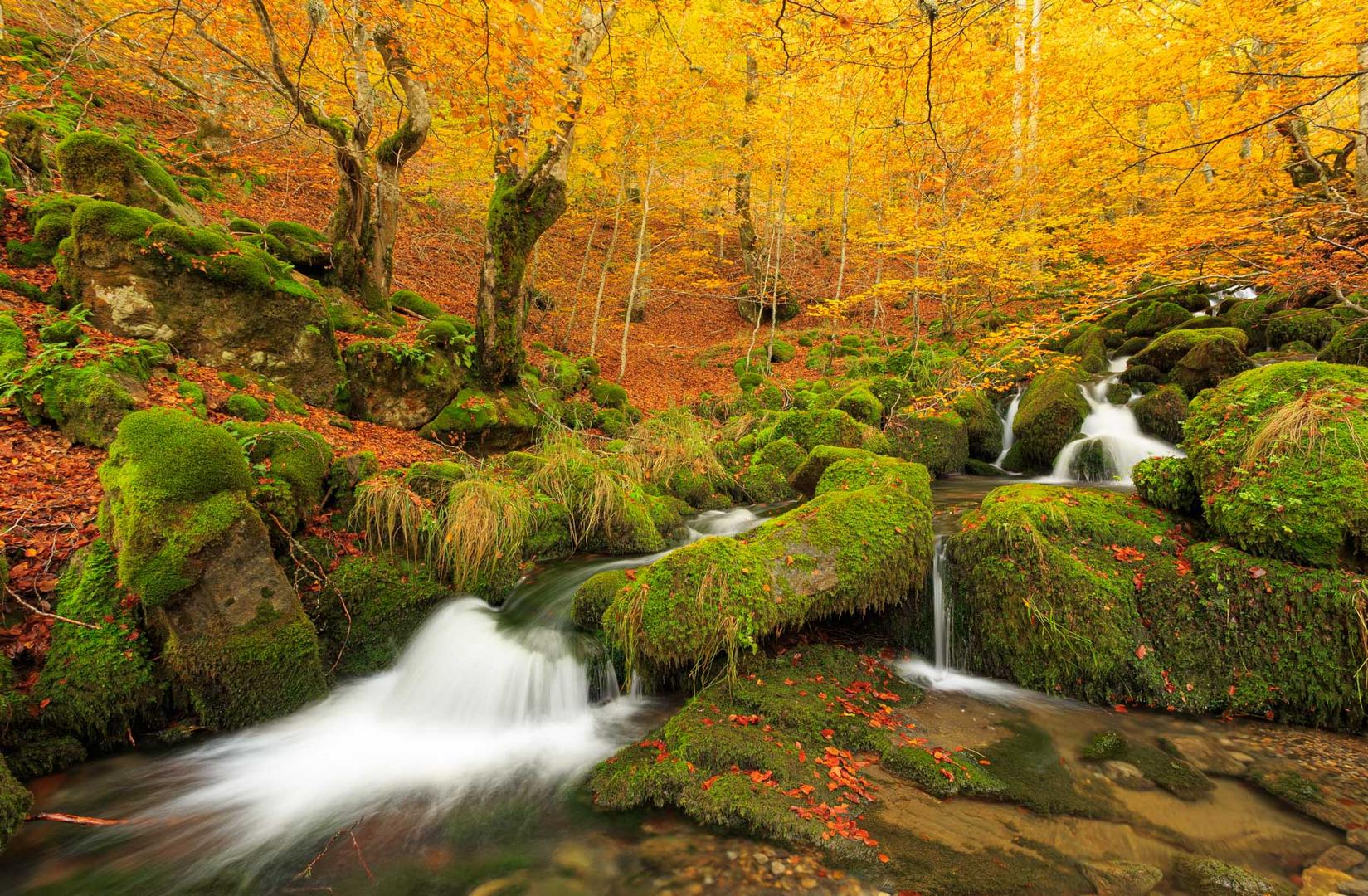 Desde el interior. Otoño 2019.