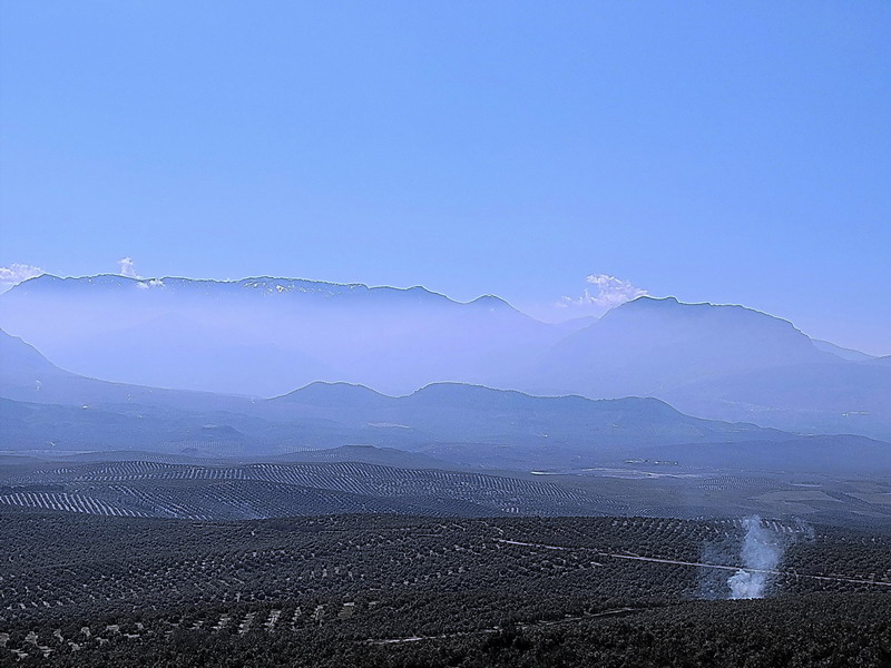 Desde el Mirador