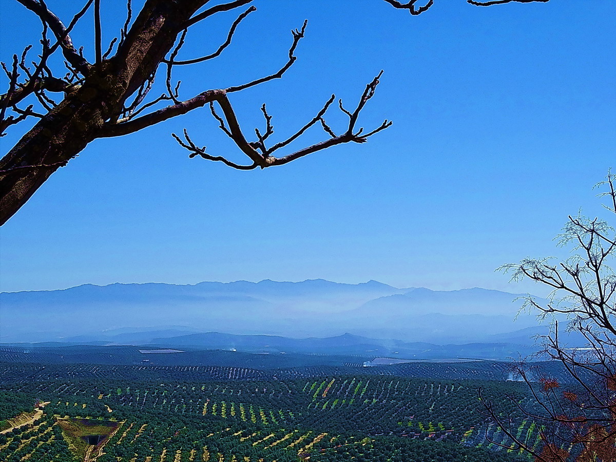 Desde el Mirador II