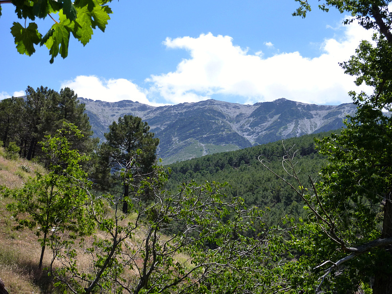 Desde el refugio