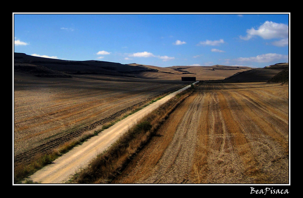 Desde el tren VII