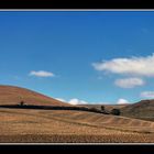 Desde el tren VIII