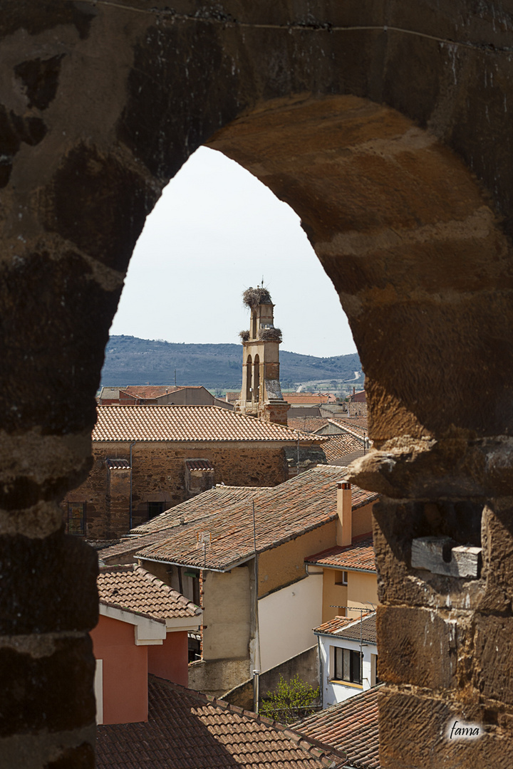 Desde la Torre de Tábara