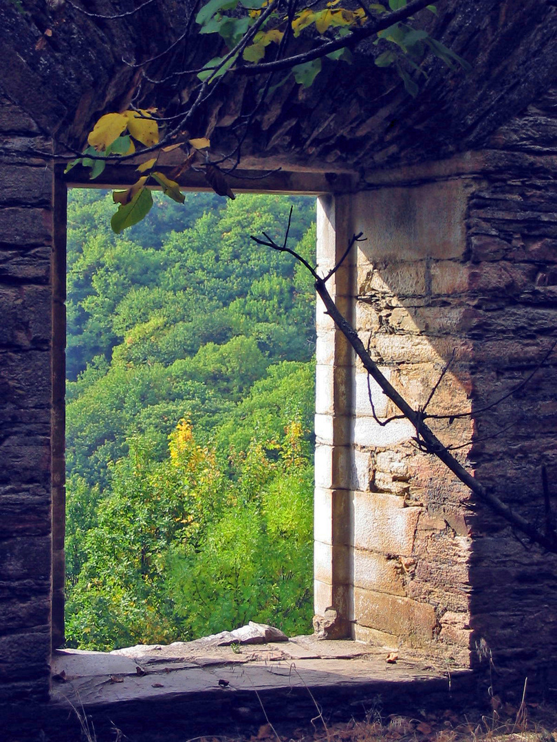 desde la ventana