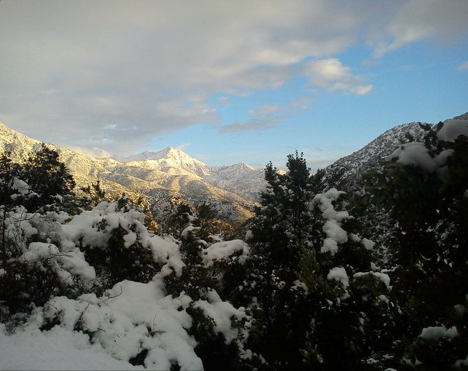 Desde la ventana