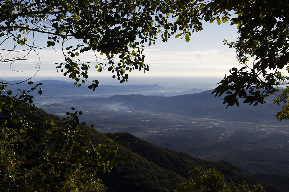 Desde lo alto del Montseny