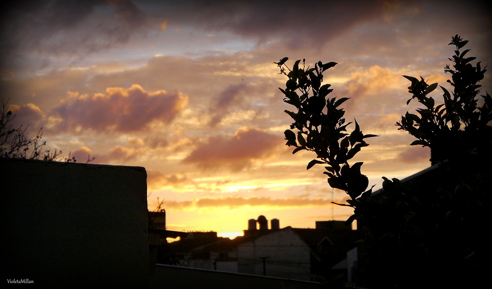 DESDE MI TERRAZA