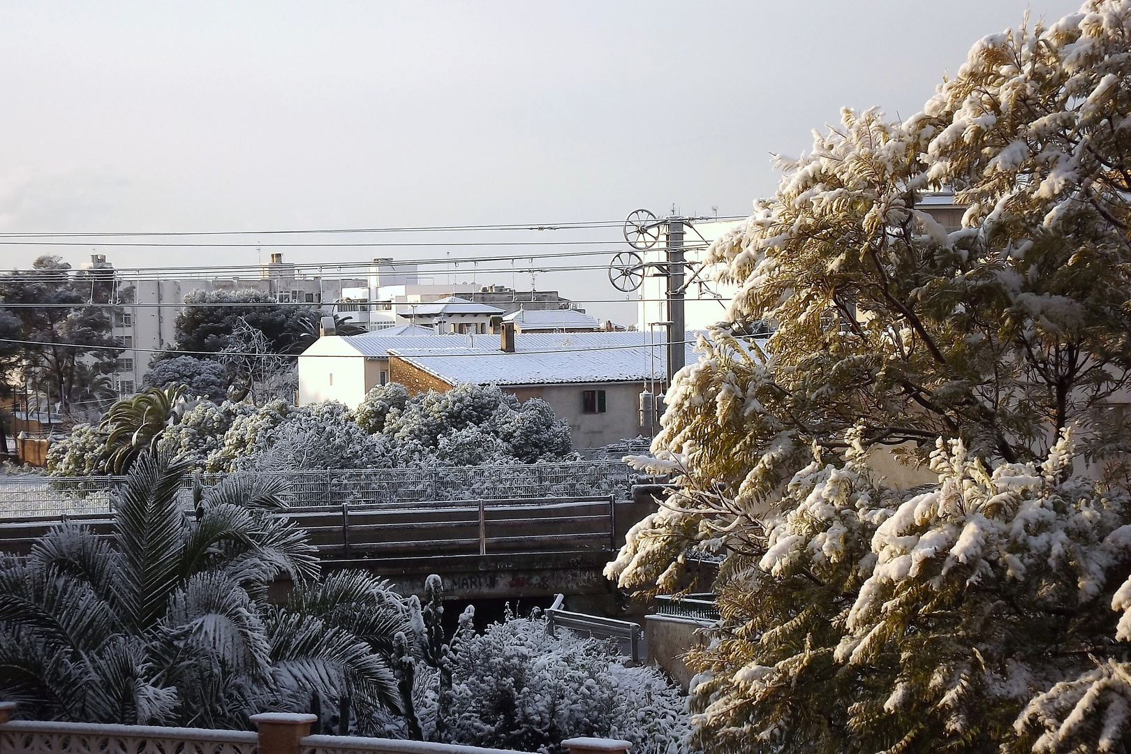 DESDE MI VENTANA