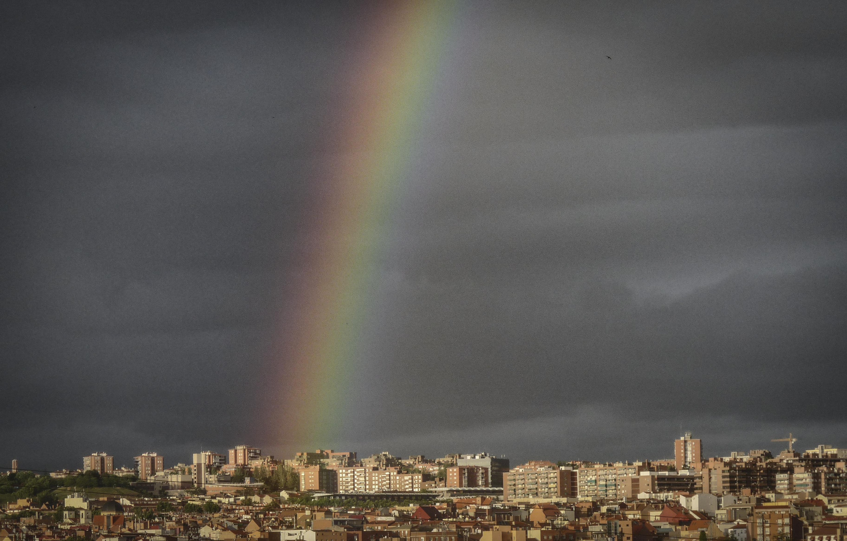 Desde mi ventana