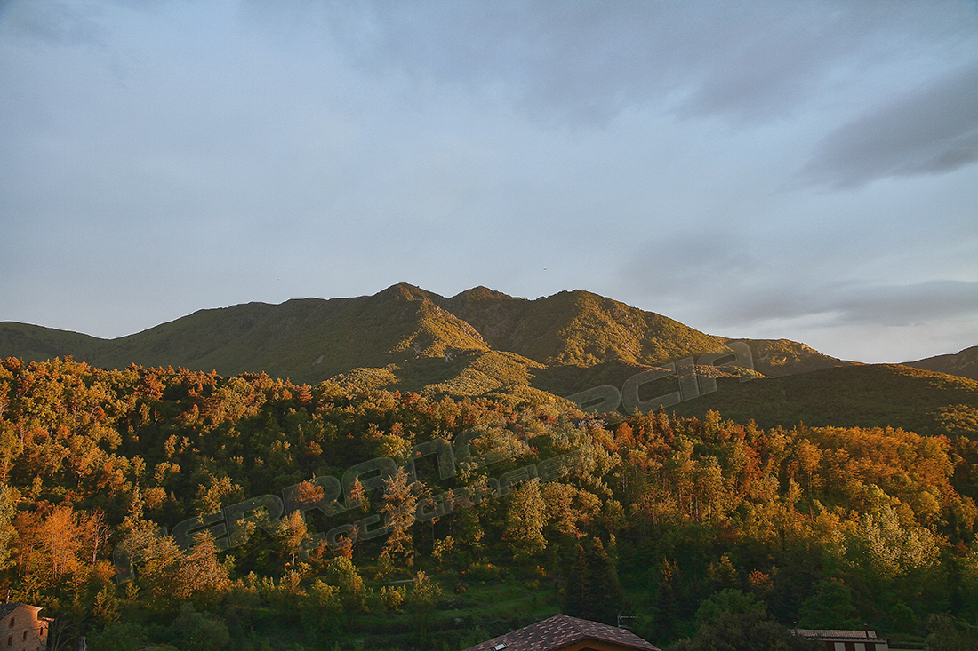 Desde mi ventana