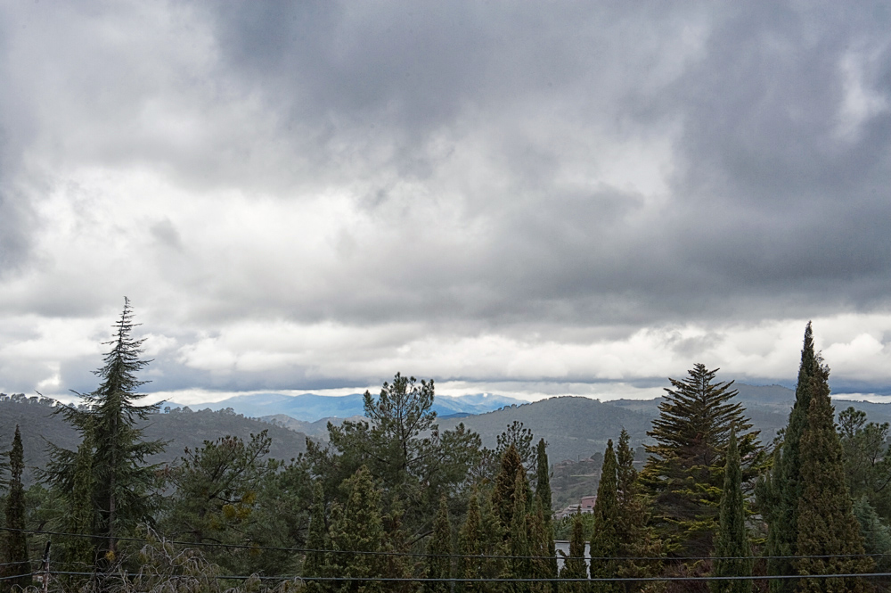 Desde mi ventana (I)