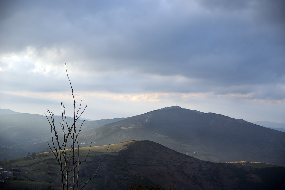 DESDE O CEBREIRO