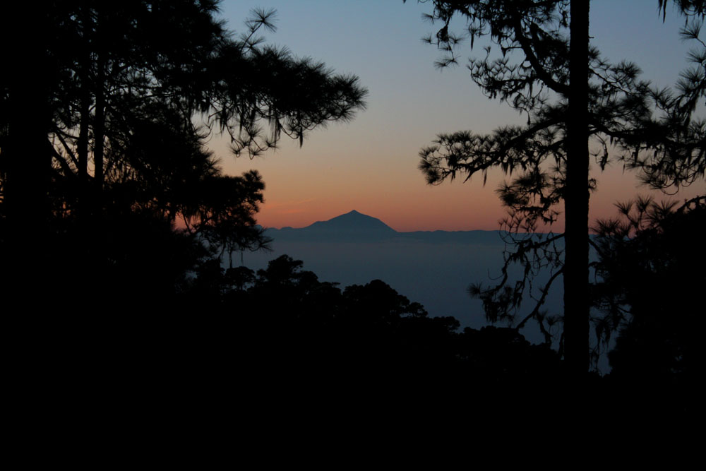 Desde Tamadaba