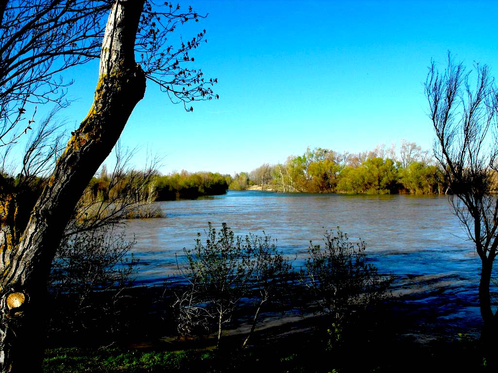 Desembocadura del rio Gallego en el Ebro.