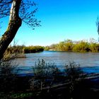 Desembocadura del rio Gallego en el Ebro.