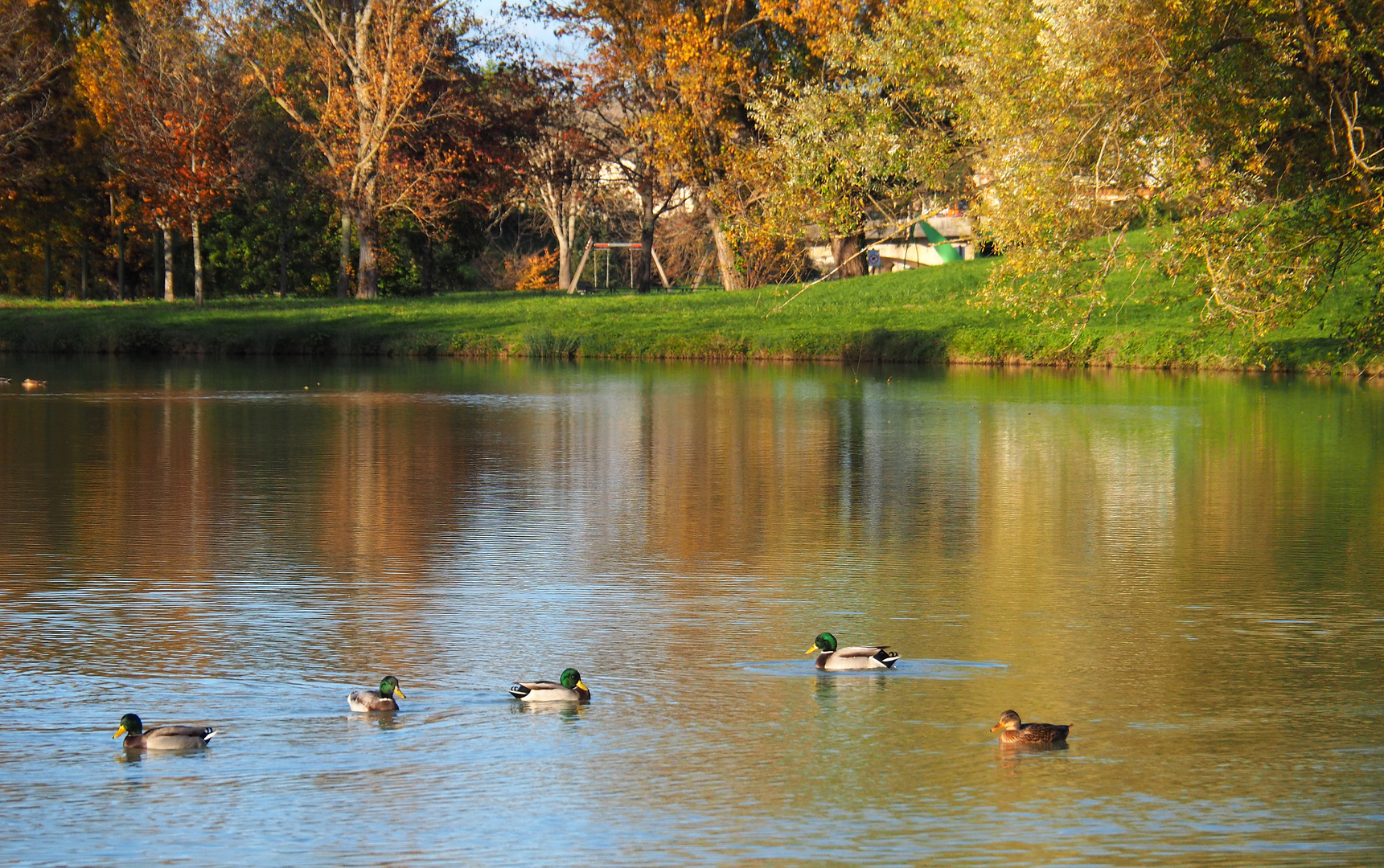 Déséquilibre sur le lac