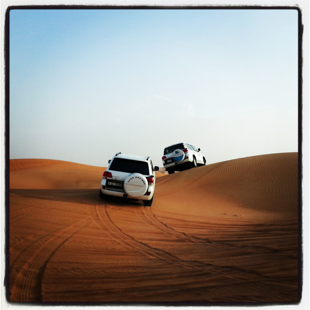 [.. Desert 2013 ..]