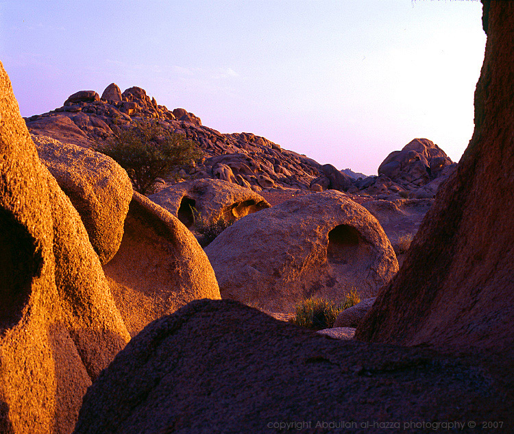 DESERT