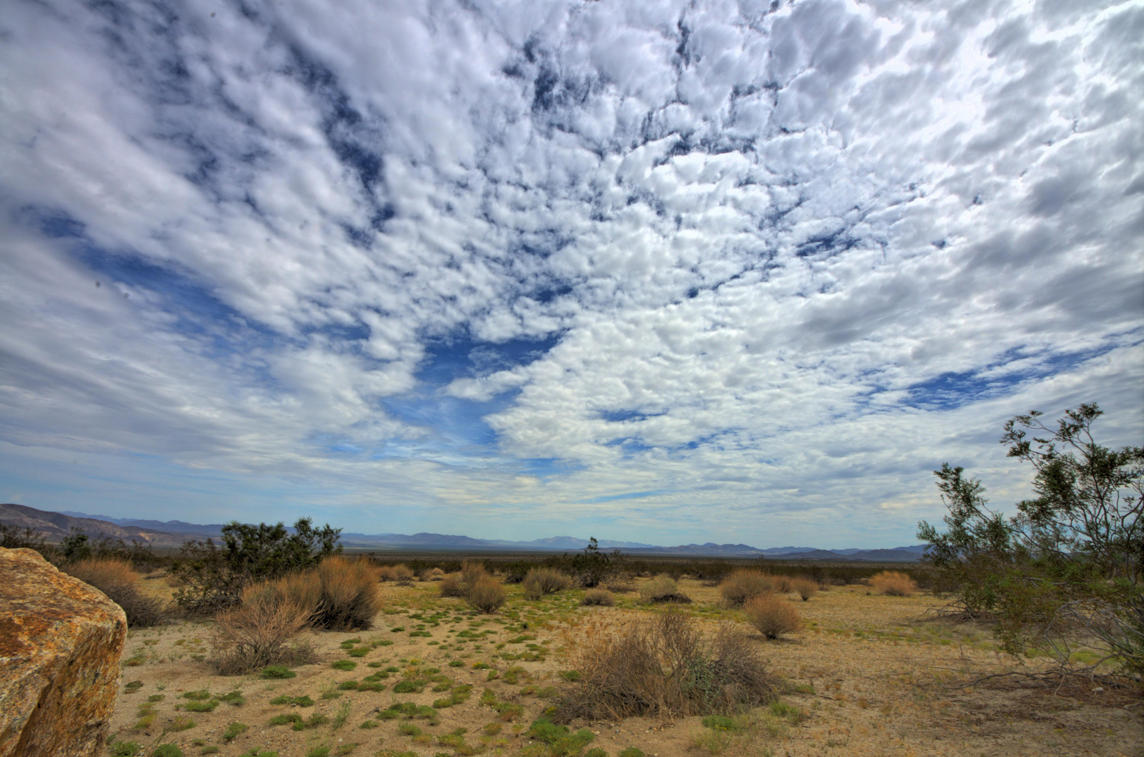 Desert