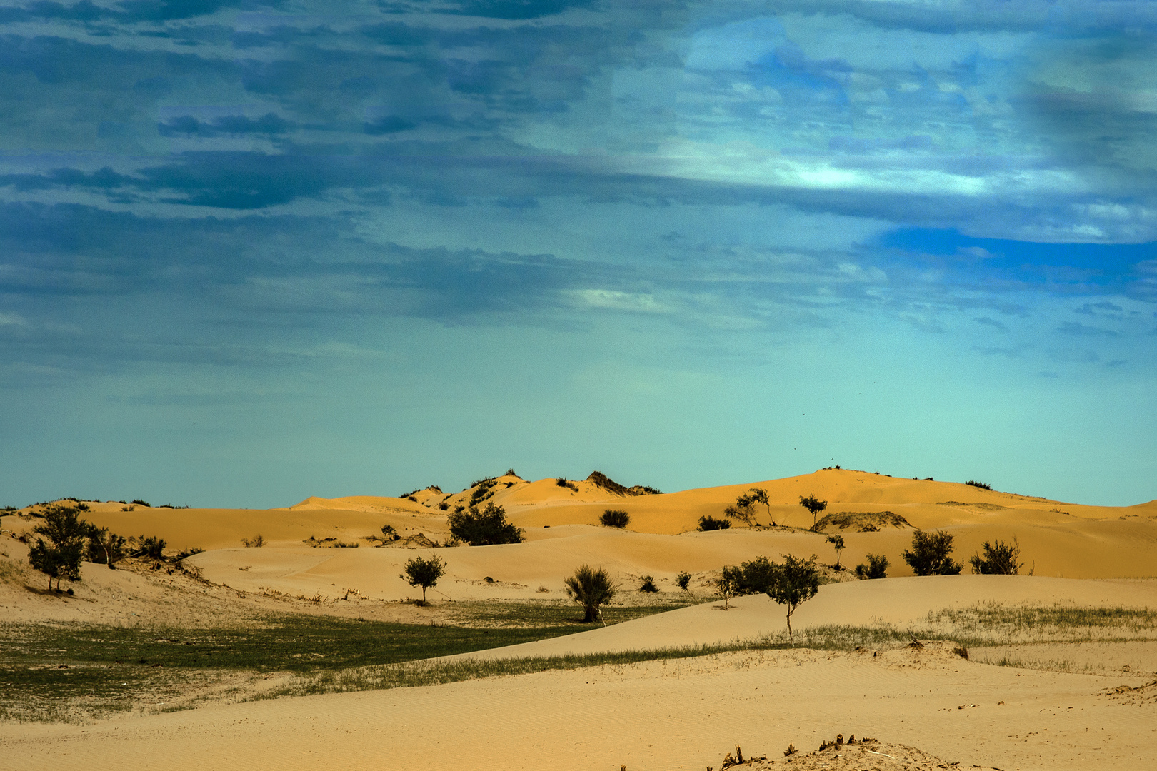 Desert and Steppe in Elsen Tasarhai