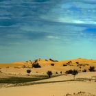 Desert and Steppe in Elsen Tasarhai