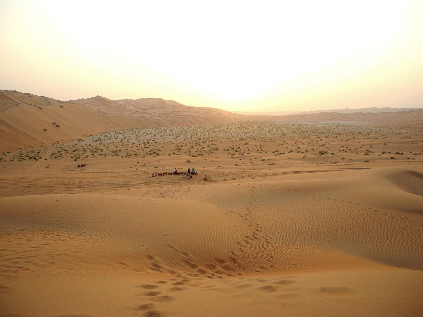 Desert at Sunrise