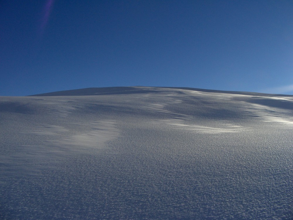 Désert au pays du froid