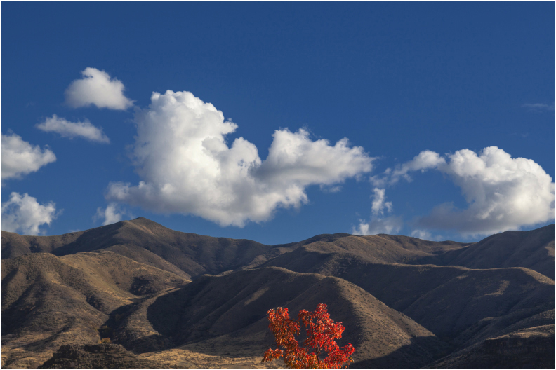 Desert Autumn 3