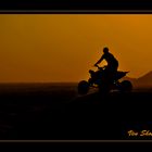 Desert Biker 1