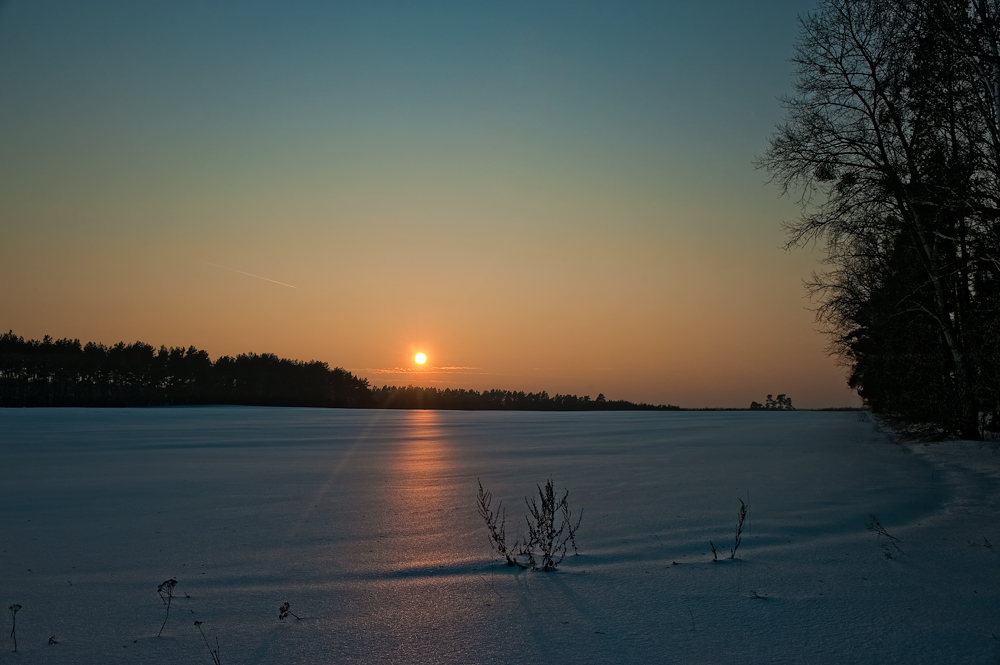 désert blanc