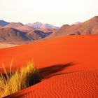 Desert Colours and Contours (5)