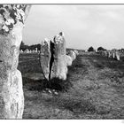 Désert de Menhirs