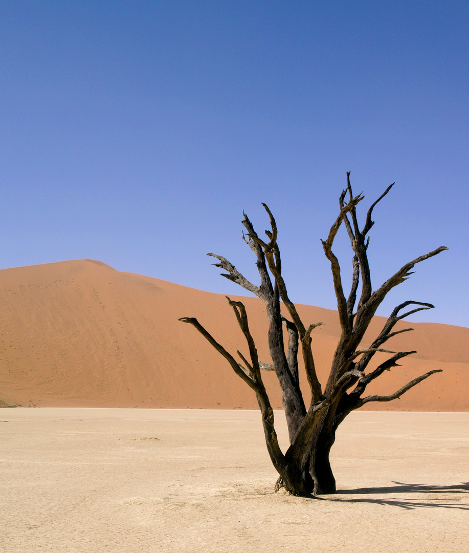 desert de namibie...sossusvlei