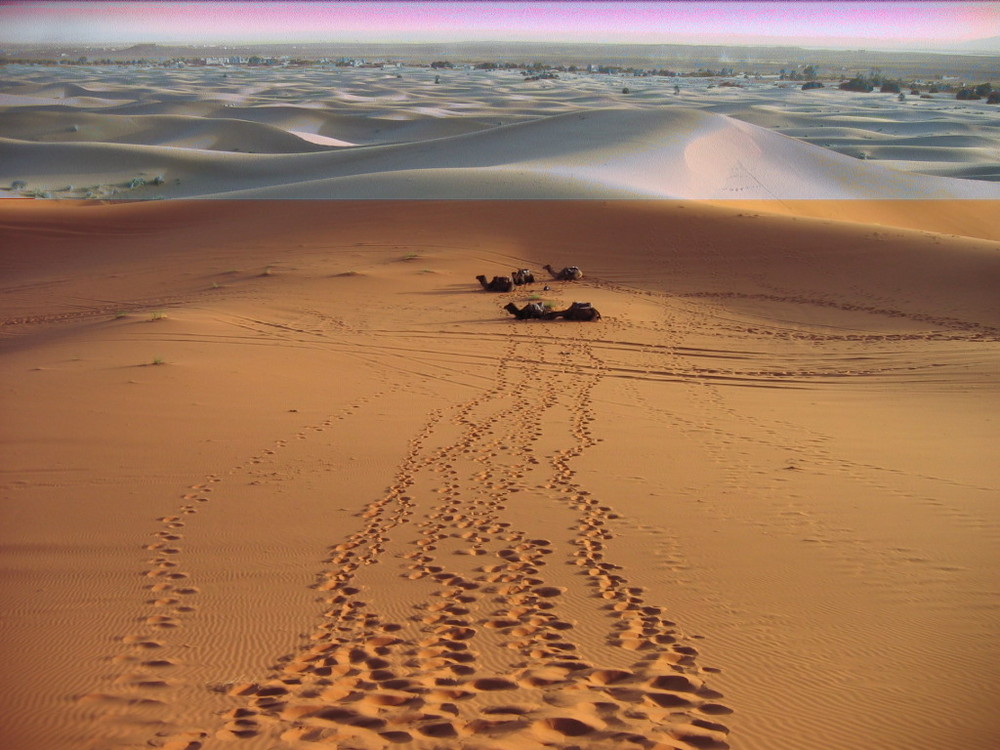 Desert de sable et de neige